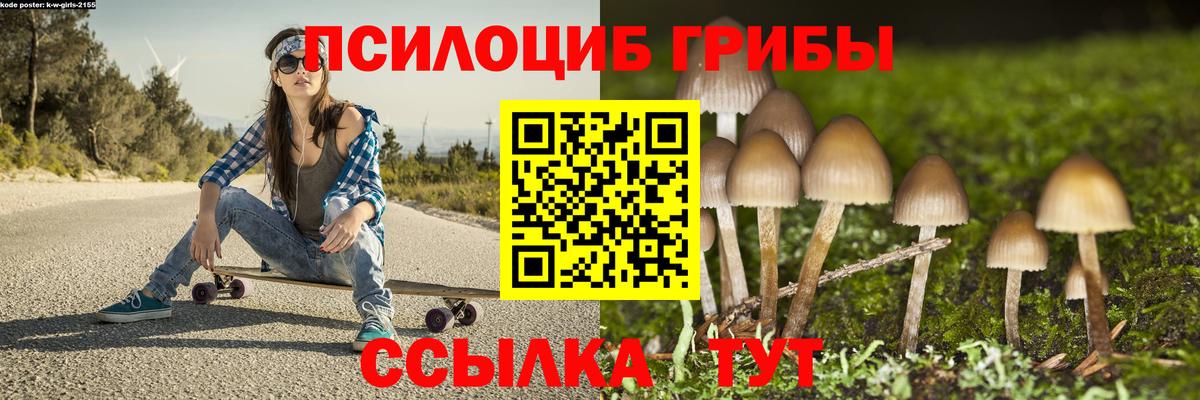 Псилоцибиновые грибы мицелий Шали